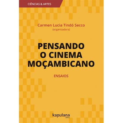 Pensando o cinema moçambicano: ensaios